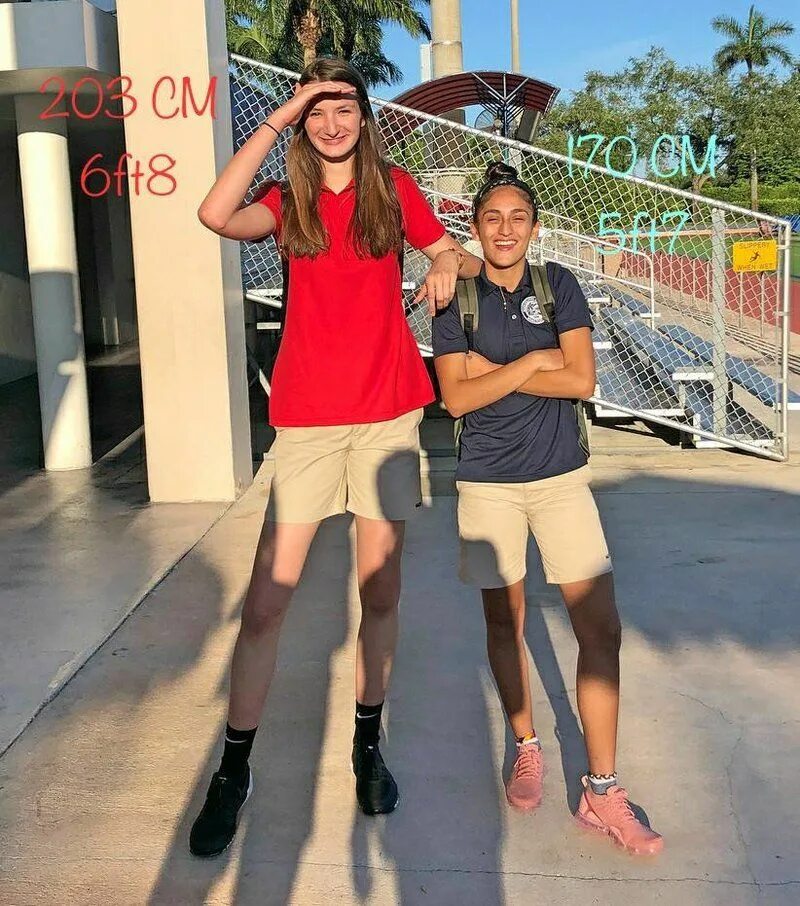 Элисани да крус сильва рост. Tall girl short girl. Екатерина лисина — 210 см. Высокая и невысокая девушка. Красивые невысокие девушки.