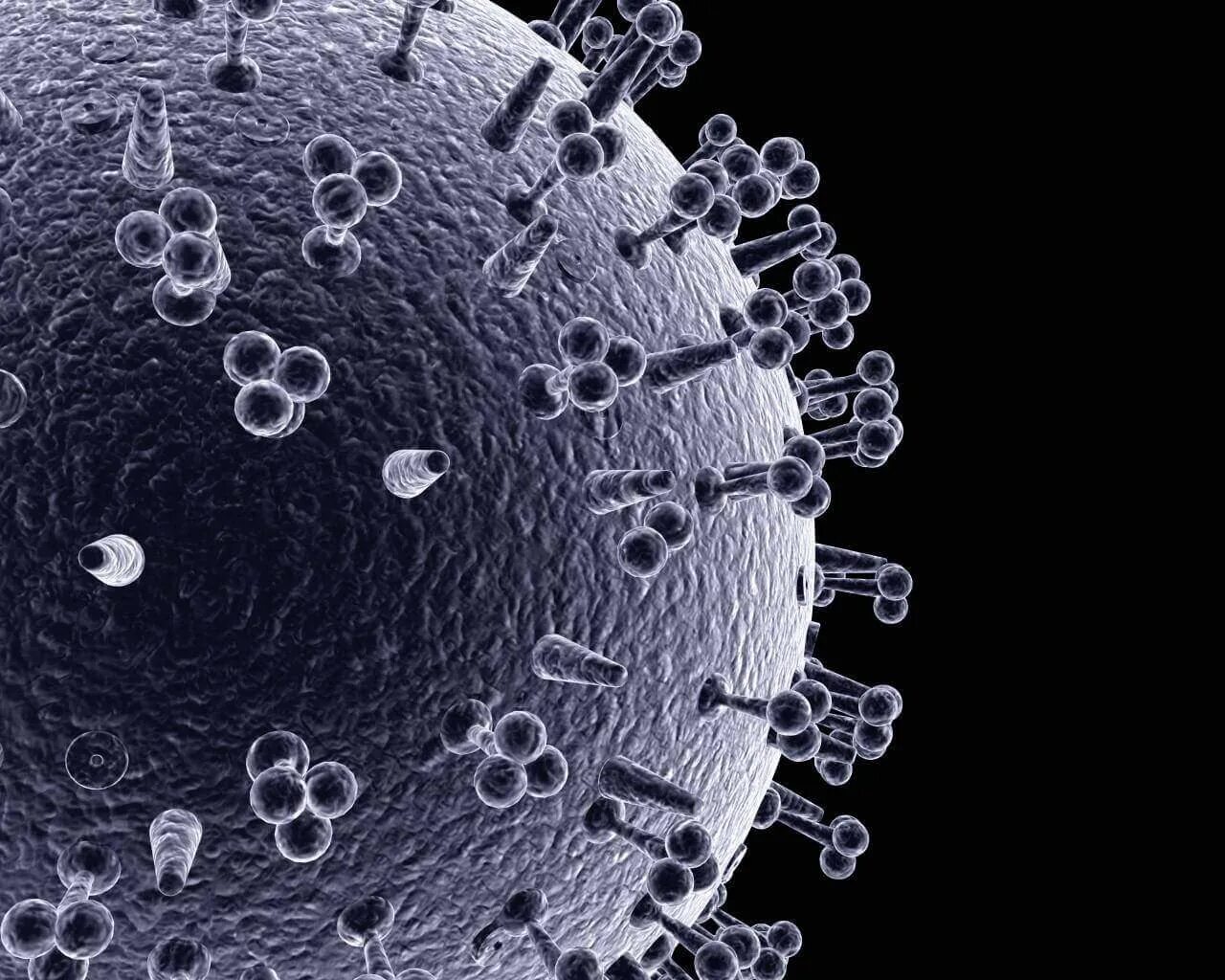 Вирус гриппа а2 (h3n2). Influenza virus a. Вирус оспы 3д модель. Influenza virus a. Инфлюэнца вирус.