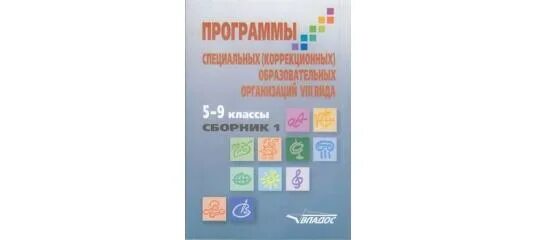 Рабочая программа 8 вид 8 класс. Программа Воронковой. Воронкова программа 8 вида 5-9 класс. Коррекционная программа 8 вида. Программа специальной (коррекционной) школы VIII вида.