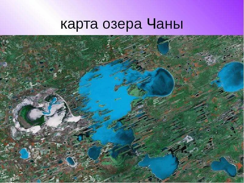 Озеро Чаны на карте. Озеро Чаны карта островов. Карта озеро Чаны со спутника. Оз Чаны на карте. Озере чаны название островов