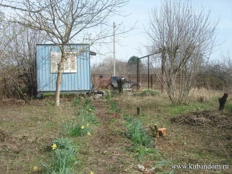 елизаветинская земельный участок. краснодарский край станица елизаветинская снт кубань фото. роднички снт краснодар. земля ю сельхоз елизаветка. елизаветинская земельный участок.