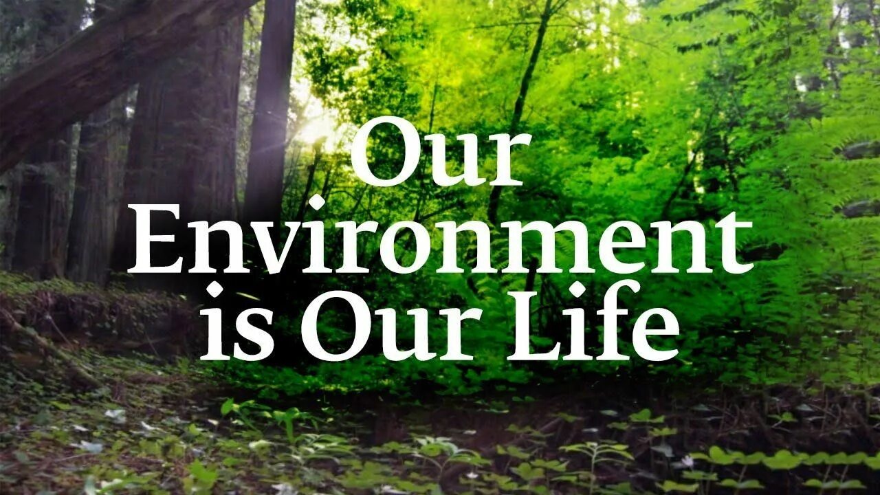 The environment is us. Our environment. protect our environment. protect our environment фото. environment надпись слово.