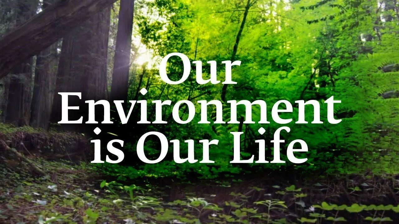 Our environment. Environment is. Protect our environment. Protect our environment фото. We and our nature