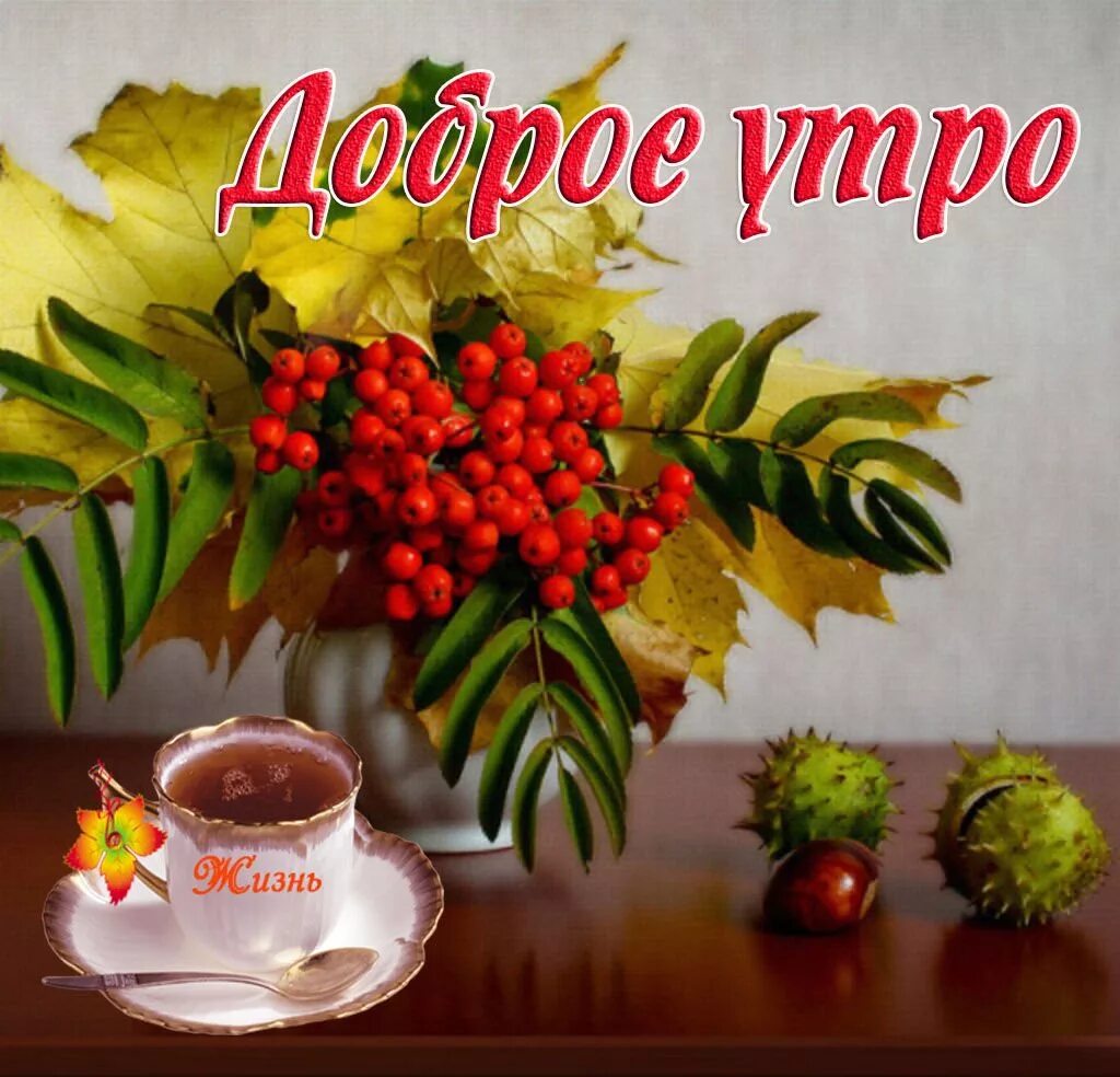 Доброе осеннее утро. С добрым осенним утром. Доброе осеннее утро. Открытки с добрым утром осенние красивые. Доброе осеннее утро.