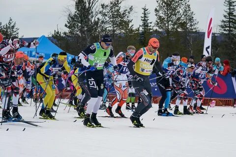 Спортбокс лыжи