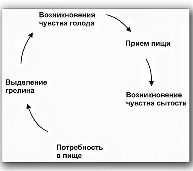 Как возникает чувство голода. Процесс чувства голода. Возникновение ощущений схема. Формирует чувства голода и насыщения.