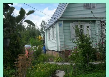 Продаю дача снт заря