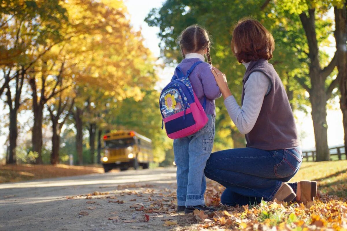 Go to School. School Kid back. Child` s back. Back to School.