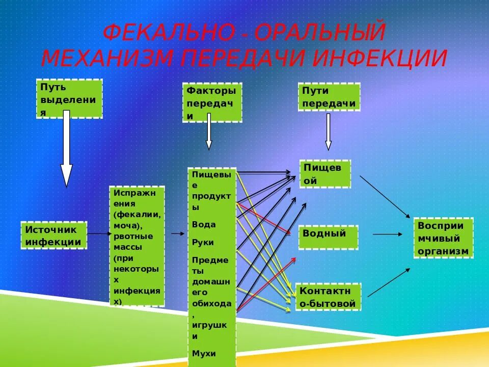 Каковы их симптомы и пути передачи. Фекально-оральный механизм передачи инфекции. схема фекально-орального механизма передачи. пути передачи фекально-орального механизма. фекально оральный способ передачи заболевания.