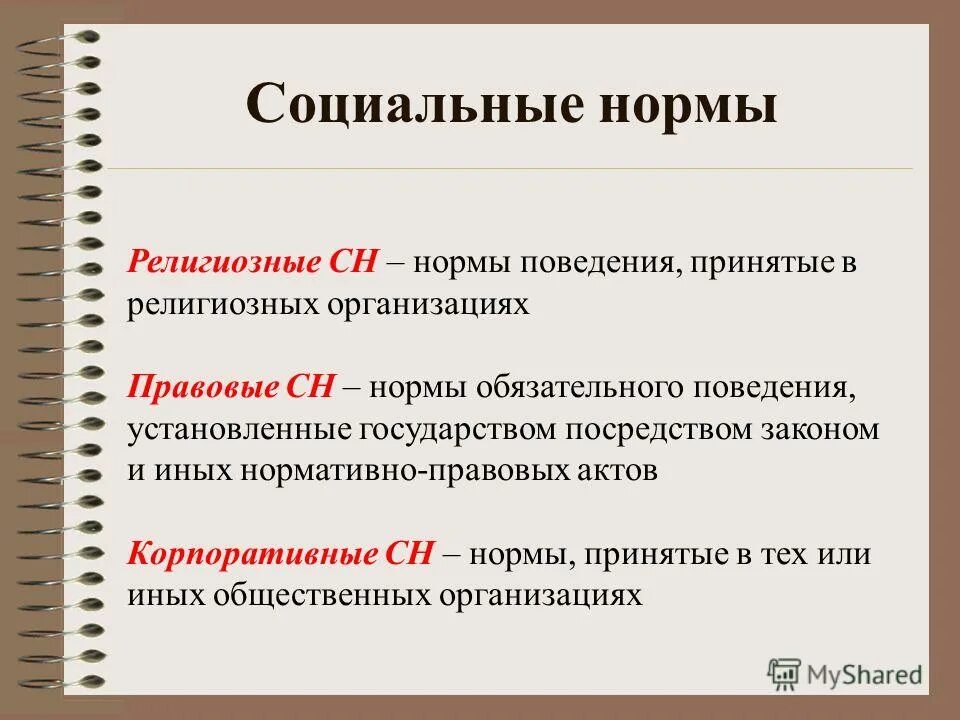 Образцы поведения принятые в обществе. Социальные нормы. Правила социальных норм. Правила социального поведения. Социальные нормы это в обществознании кратко.