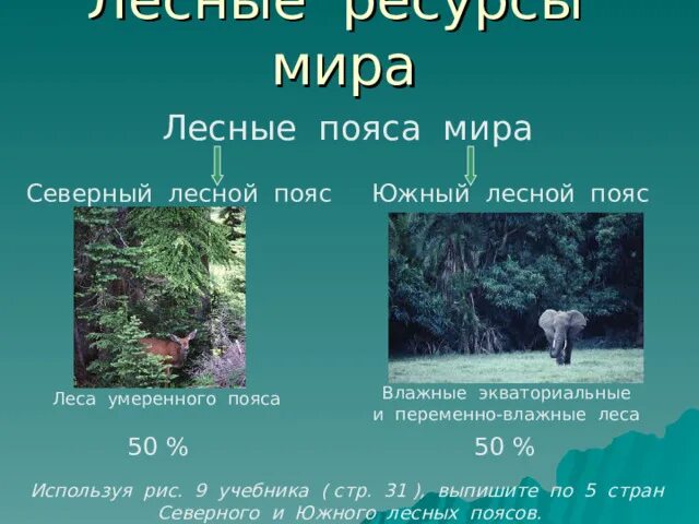 Северный лесной пояс страны лидеры. Распространение северного и южного лесных поясов. Северный лесной пояс. Два пояса лесов на земле. Южный лесной пояс.