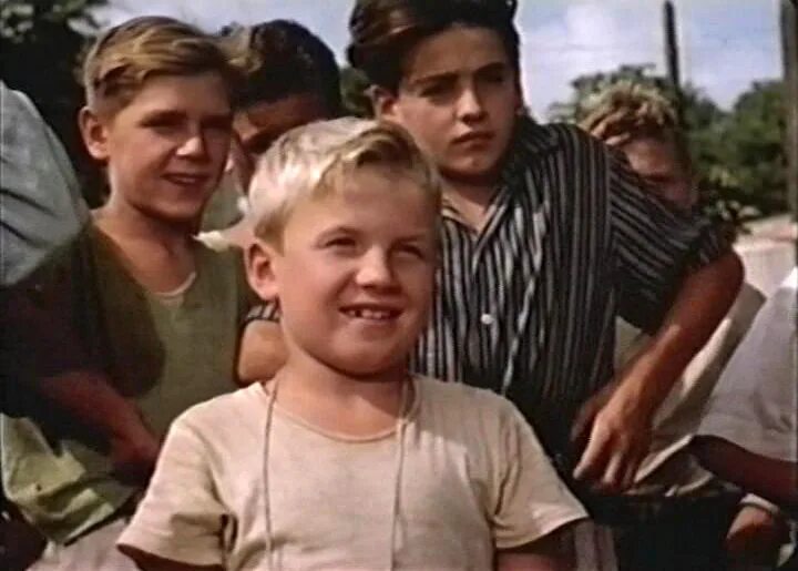 Команда с нашей улицы 1953. (1953). Команда нашей улицы 1953. (1953). Постер.