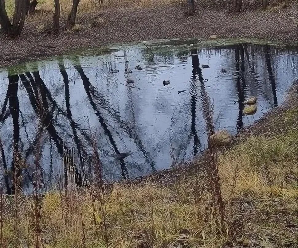 Болото воняет. Вонючий пруд. Грязная Болотная гладь. Пруд победит 1.