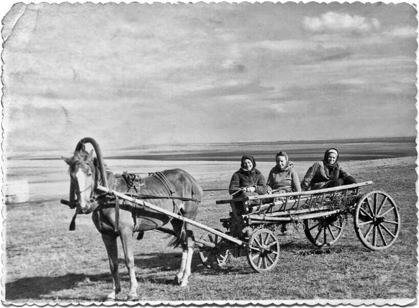 Тарантас саранск. Тарантас. Тарантас повозка. Карета фаэтон для лошади. Крестьянская телега 19 века.