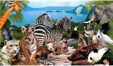 Әдемі аққұбаға контур