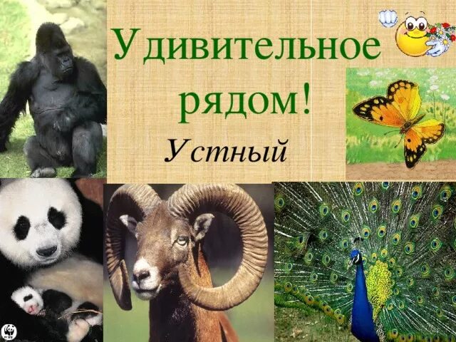Проект этот удивительный мир 3 класс Презентация по физике "Волшебный мир звуков" скачать бесплатно