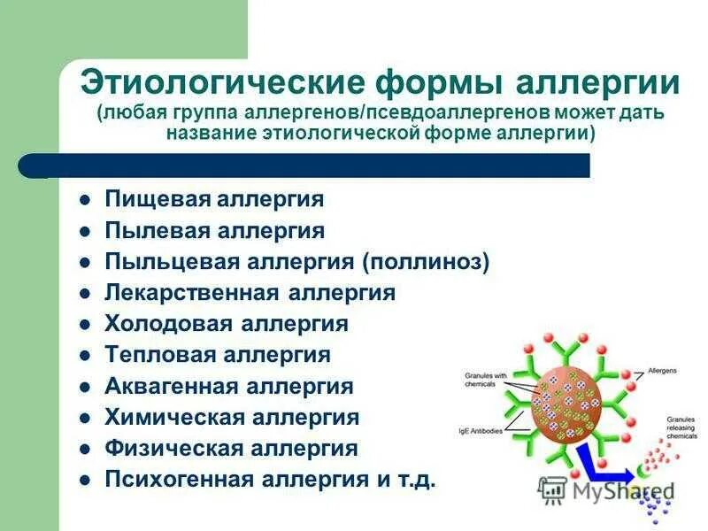 Псевдоаллергия механизм развития. Псевдоаллергия иммунология. Пищевая и лекарственная аллергия. Поллиноз иммунология. Для аллергических реакций характерно