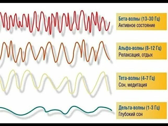 Тета сон. Волны расслабления мозга. Состояния Альфа бета и тета. Частоты работы мозга человека. Тета и бета волны.