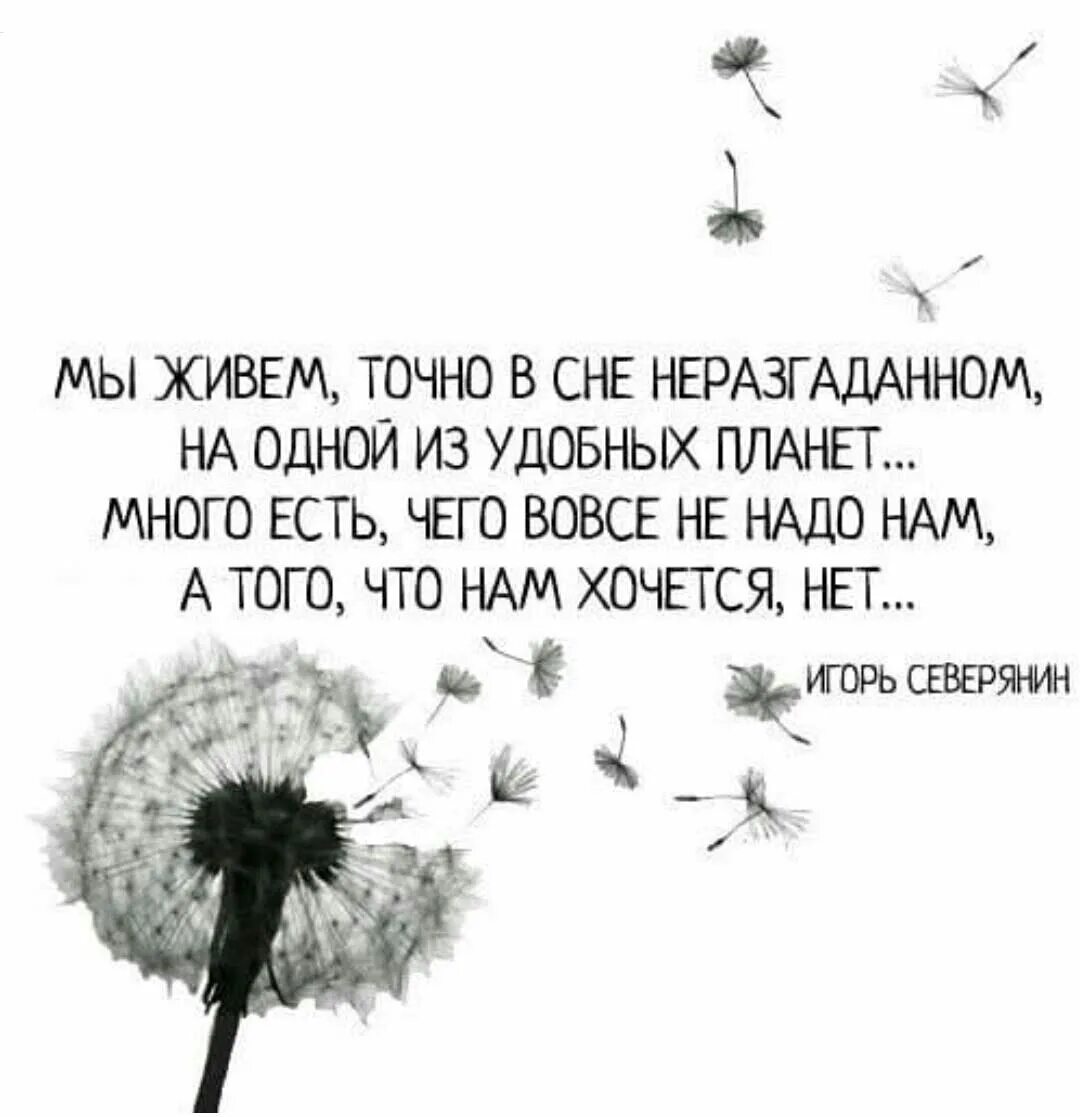 Мы живем на одной из удобных планет. Мы живем точно в сне неразгаданном. мы живем как во сне неразгаданном на одной из удобных планет. стихотворение мы живем словно в сне неразгаданном. мы живём точно в сне неразгаданном на одной из удобных.