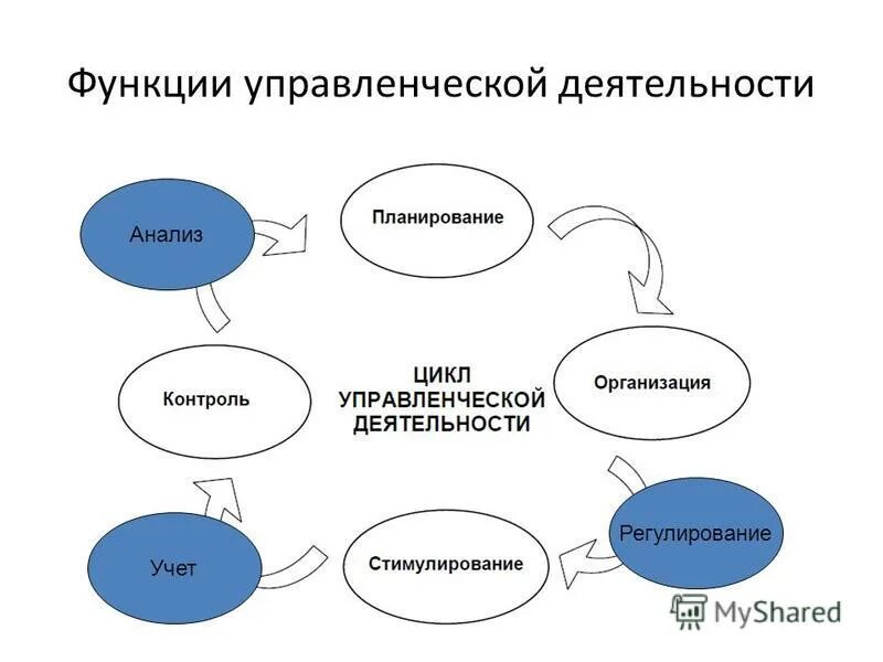 Управление и управленческая деятельность функции. Роли в управленческой деятельности. Функции менеджмента виды управленческой деятельности. Функции менеджмента виды управленческой деятельности. Управление и управленческая деятельность функции.