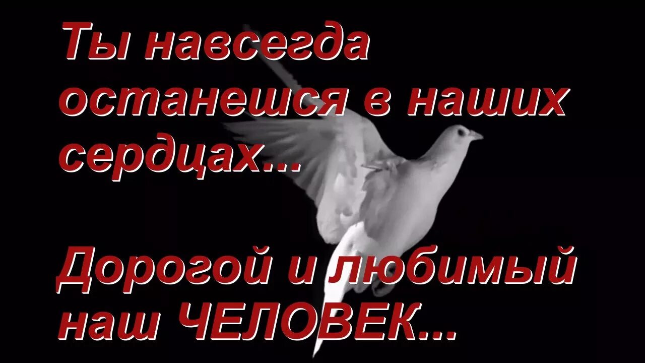 Статус умершего человека. Ты навсегда в наших сердцах. Ты навсегда в наших сердцах друг.