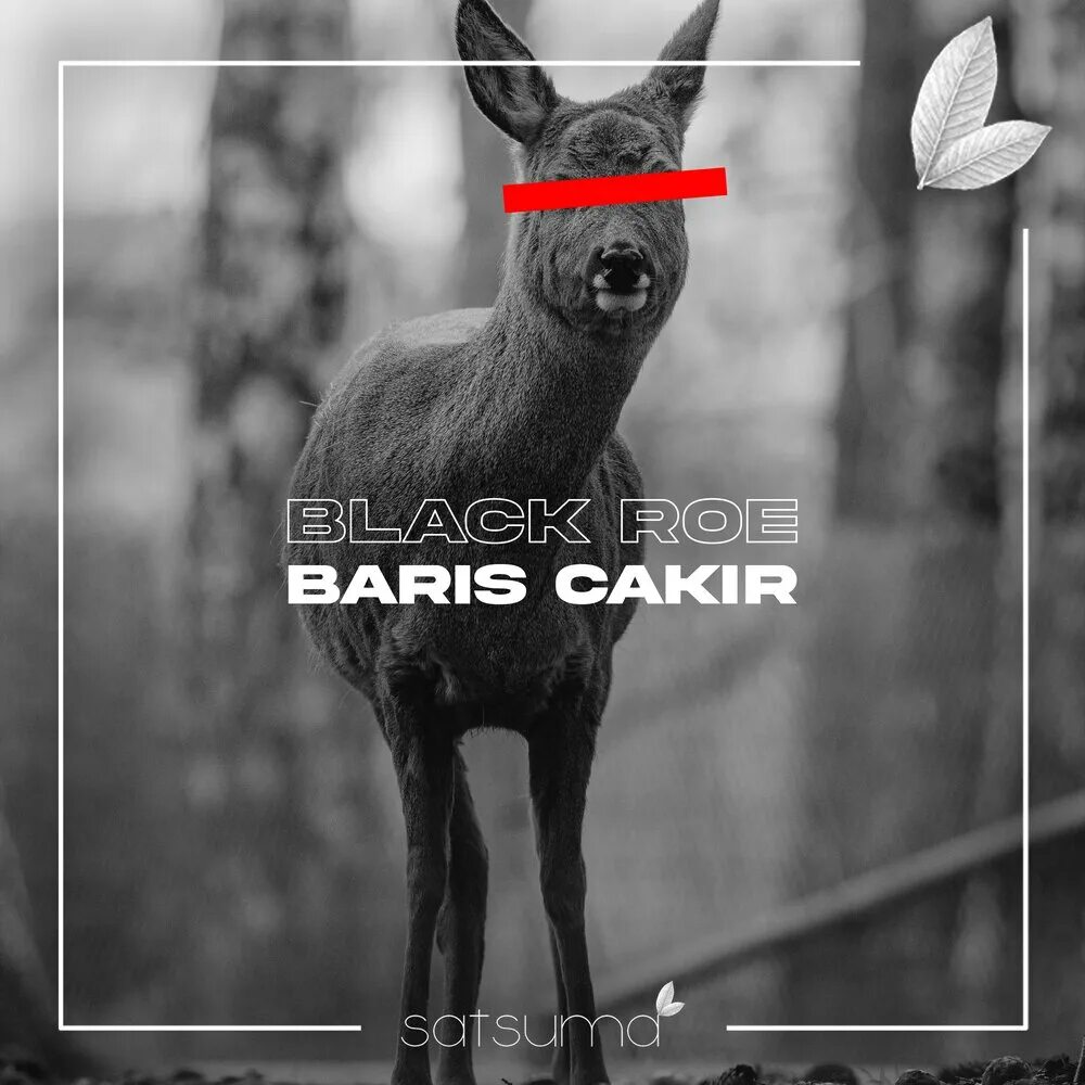 Roe песня. Baris Cakir Dark Light.