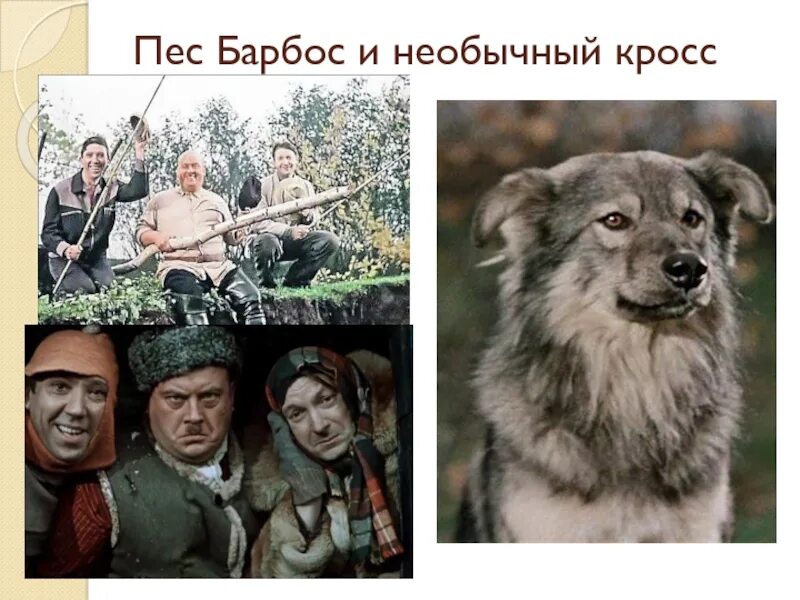 Пес барбос и необыкновенный кросс. Пёс барбос и необычный кросс. пёс барбос и необычный кросс собака. пес барбос фото. пюс борьос и не обычны пес.