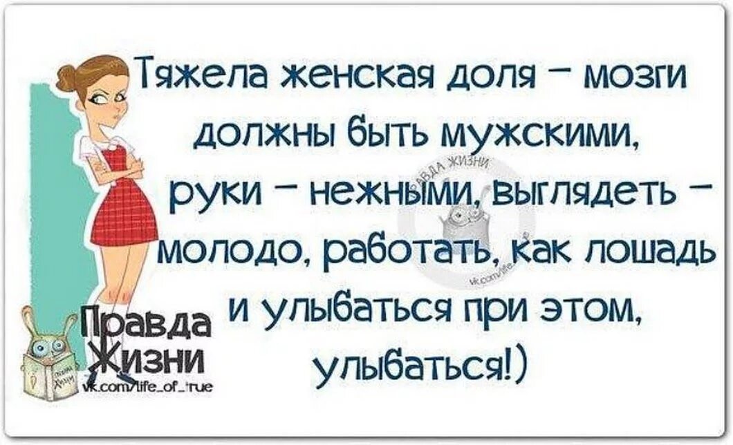 О тяжелой доле. Смешные цитаты с картинками правда жизни. Юмор про жизнь. Смешные афоризмы. Юмористические афоризмы в картинках.