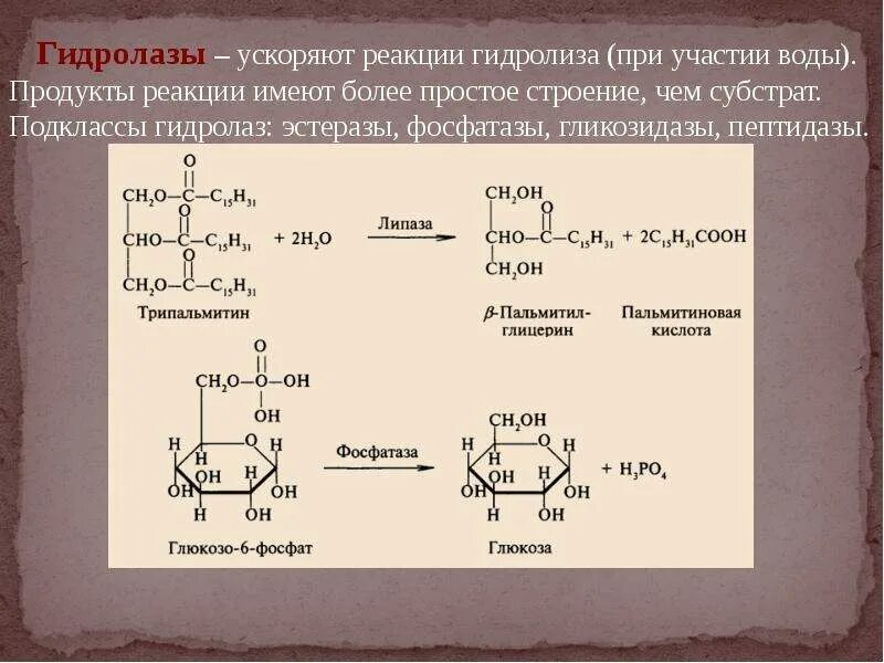 Какие продукты реакции. Реакции с ферментом гидролазы. гидролазы катализируют реакции. реакции с гидролазами биохимия. схема реакции гидролазы.