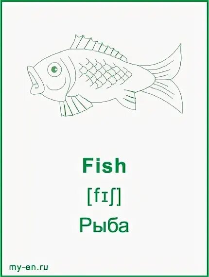 Карточки с английскими словами. Английские слова рыба. Рыбы учат английский. Карточка рыба на английском языке. Рыбы на английском с переводом.