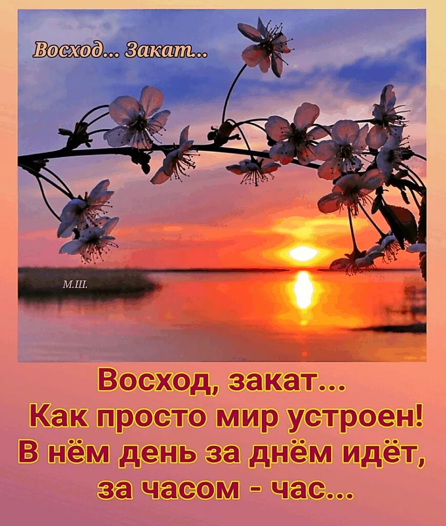 Был майский вечер. Весенний вечер. Доброго майского вечера. Майский вечер. Теплого весеннего вечера.