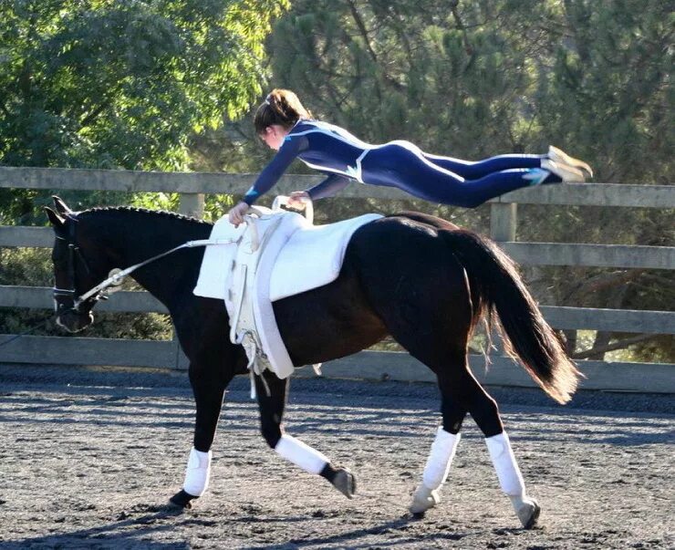 конь между ног