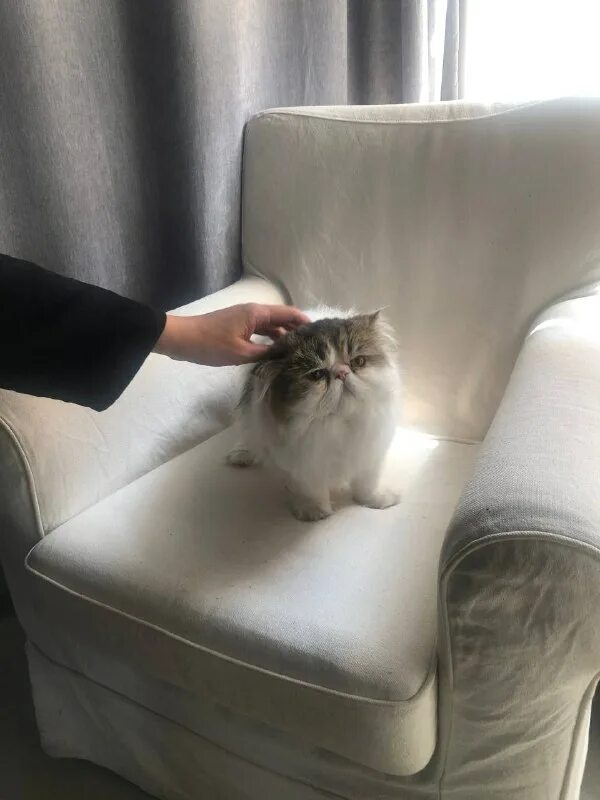 как переходить дорогу. я сказал. остановись расскажи. мемы с людьми. остановись расскажи.