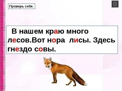 Сколько слогов в слове волк