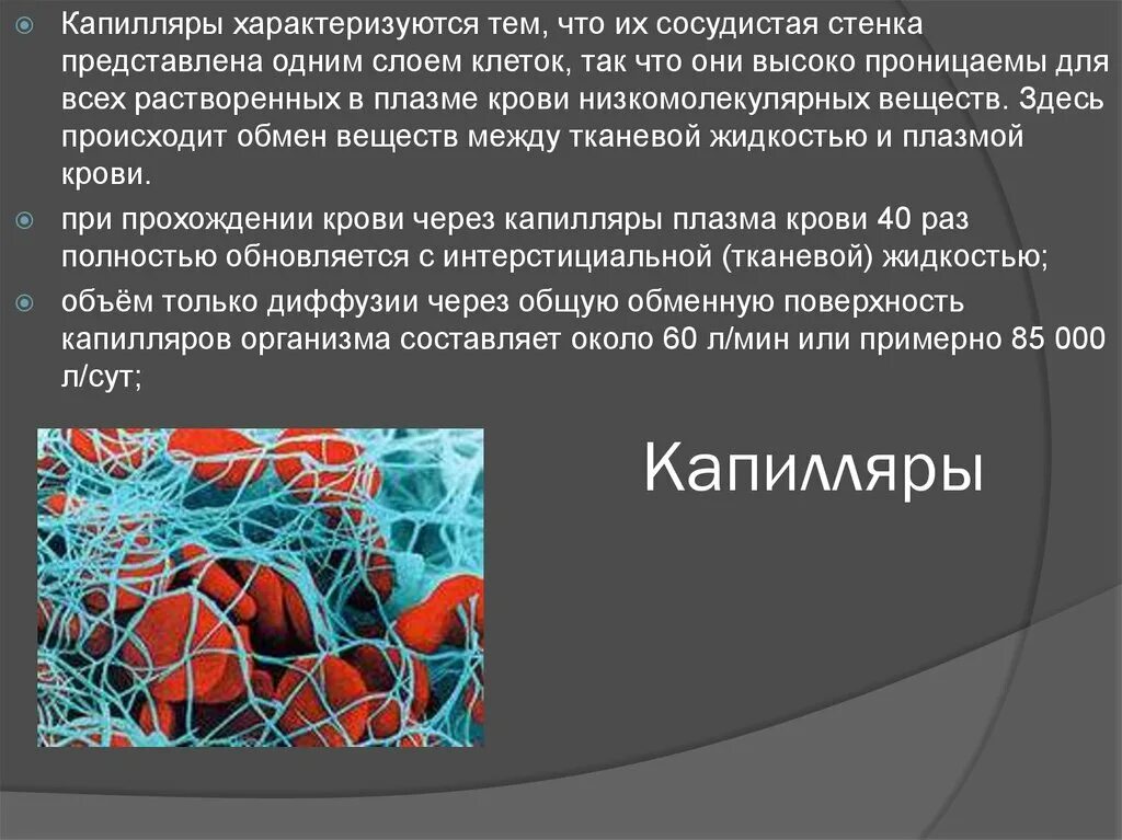 Капеляры. Роль капилляров в организме человека. Капилляры их строение. Капилляры человека строение и функции. Строение сплошного капилляра.