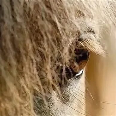 Stable connection