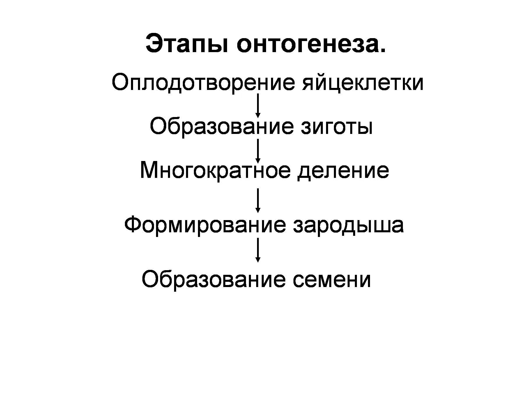 Онтогенез тест с ответами. Периоды онтогенеза таблица. Периоды онтогенеза схема. Этапы онтогенеза таблица. Схема этапы развития онтогенеза.