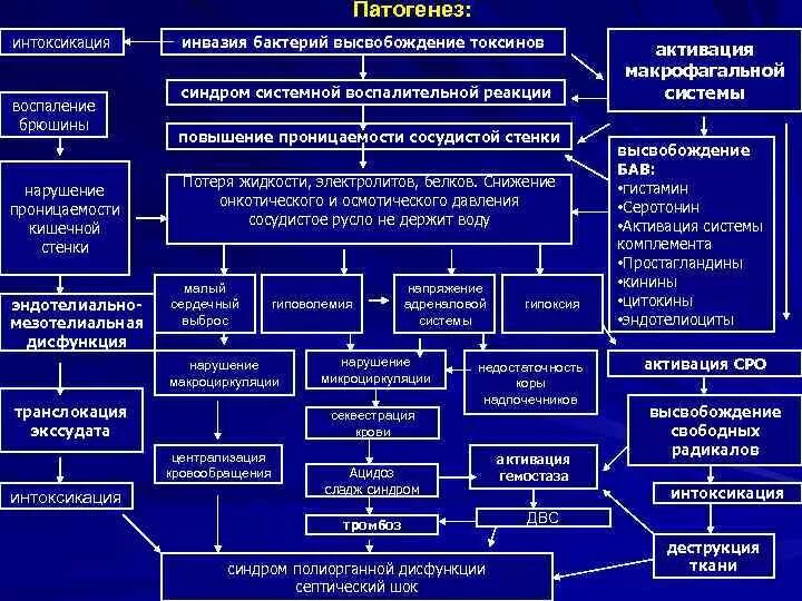 Синдром воспалительной реакции. Синдром воспалительной реакции