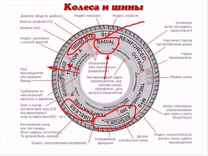 Маркировка шин легковых автомобилей. Маркировка шины автомобиля. Обозначения на шинах. Расшифровка автомобильных шин для легковых автомобилей.