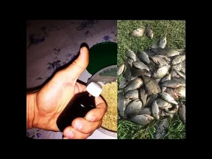 Приманка на карася осенью