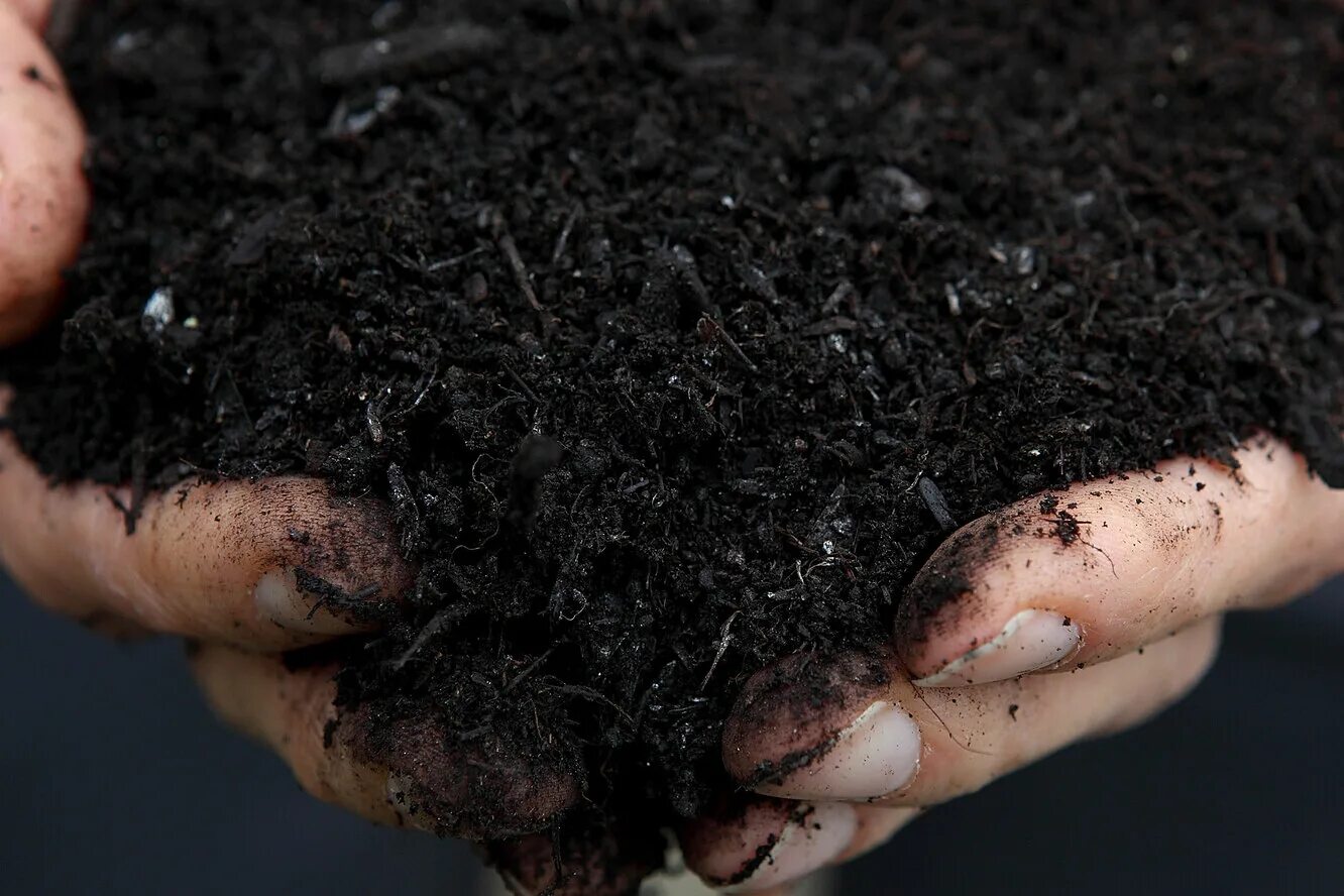 Торф и сапропель. Почва. Плодородие торфа. Торф. Торф торфяная почва.