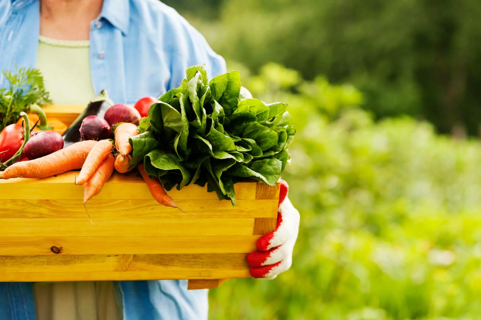 Быть овощем и жить. Сельское хозяйство овощи. Овощи в ящике. Экологически чистая пища. Фермерские овощи и фрукты.