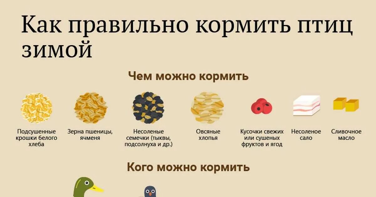 Можно ли давать голубям рис. Чем кормить птиц. чем можно кормить птиц зимой. какие крупы можно давать птичкам. что можно давать птицам.
