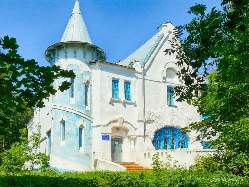 калужской области калужский санаторий воробьево. дом федорова в воробьево. усадьба воробьево в калужской области деревня. воробьево санаторий калужская обл. воробьево калужская.