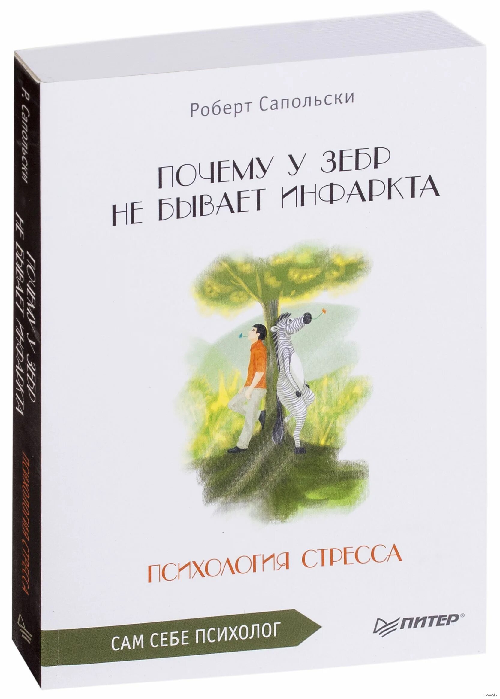 Почему у зебры не бывает стресса. Почему у зебр не бывает инфаркта. Психология стресса.