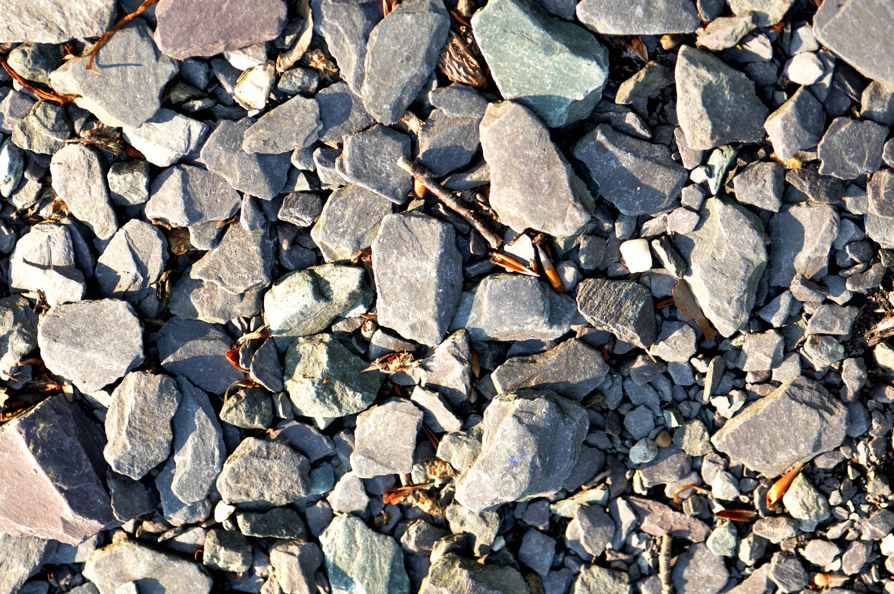 Material path