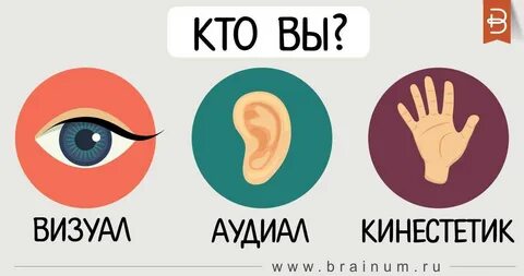Типы личности по восприятию