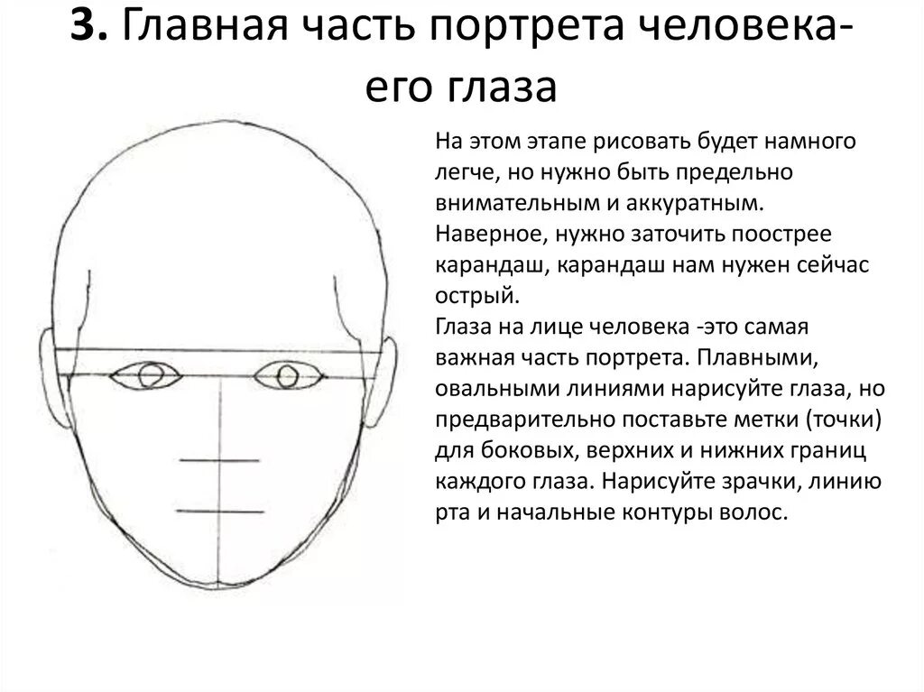 Лицо часть головы человека. Конструкция головы человека. Конструкция и пропорции головы человека. Конструкция лица для рисования. Схема пропорций лица головы.