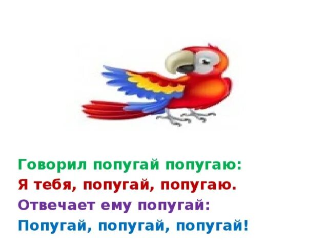 Скороговорка про попугая. Говорит попугай попугаю. Загадка про попугая. Скороговорка про попугая для детей. Попугай попугаю скороговорка