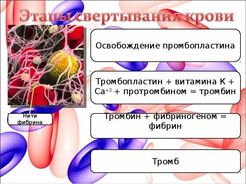 Кровь ниткой